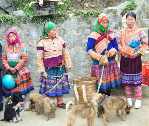 Visiting Bac Ha market - ảnh 4